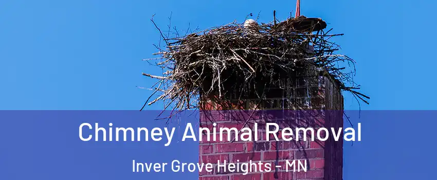 Chimney Animal Removal Inver Grove Heights - MN