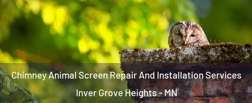  Chimney Animal Screen Repair And Installation Services Inver Grove Heights - MN