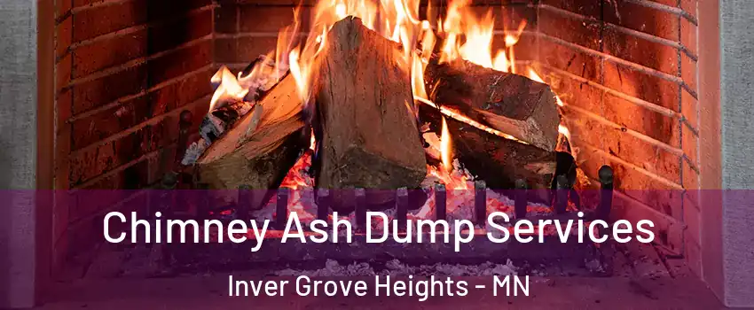  Chimney Ash Dump Services Inver Grove Heights - MN