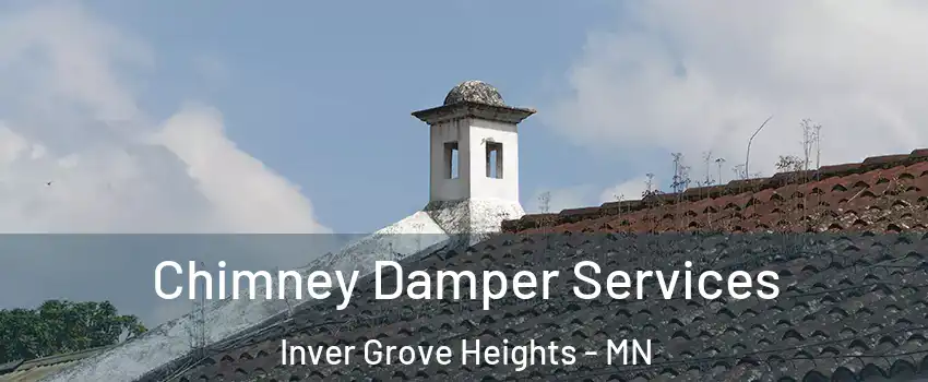  Chimney Damper Services Inver Grove Heights - MN
