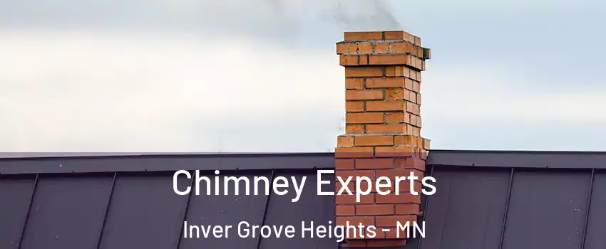  Chimney Experts Inver Grove Heights - MN