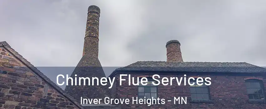  Chimney Flue Services Inver Grove Heights - MN