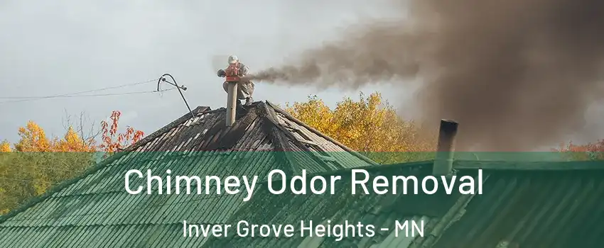  Chimney Odor Removal Inver Grove Heights - MN