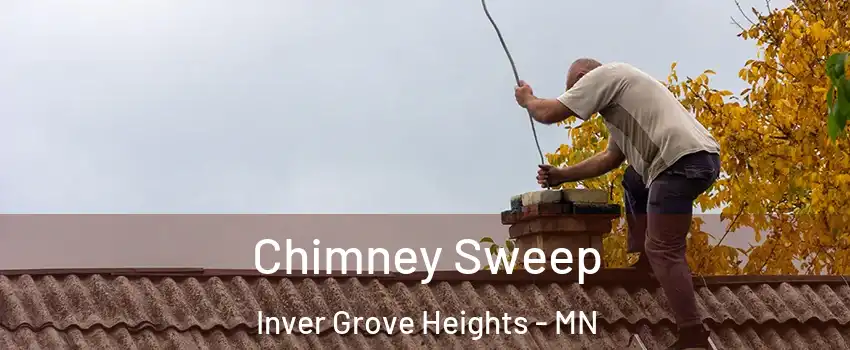  Chimney Sweep Inver Grove Heights - MN