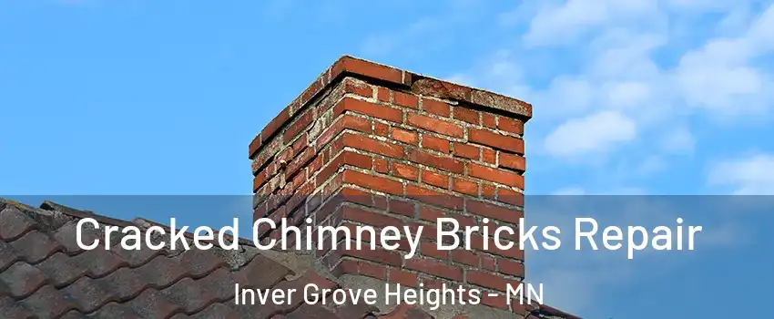  Cracked Chimney Bricks Repair Inver Grove Heights - MN