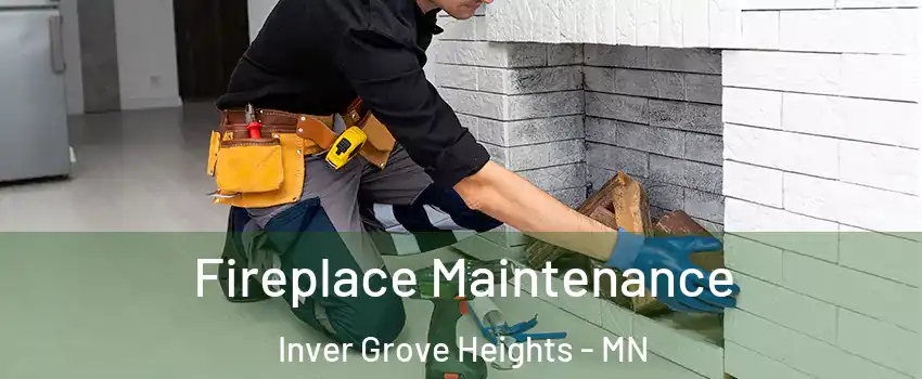  Fireplace Maintenance Inver Grove Heights - MN