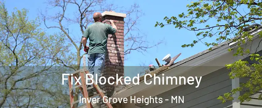  Fix Blocked Chimney Inver Grove Heights - MN