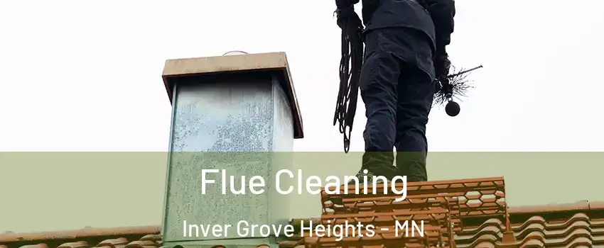  Flue Cleaning Inver Grove Heights - MN