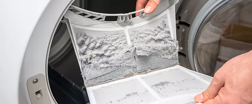 Best Dryer Lint Removal Company in Inver Grove Heights, Minnesota