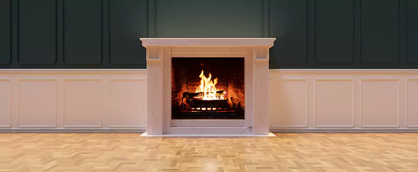 Napoleon Electric Fireplaces Inspection Service in Inver Grove Heights, Minnesota