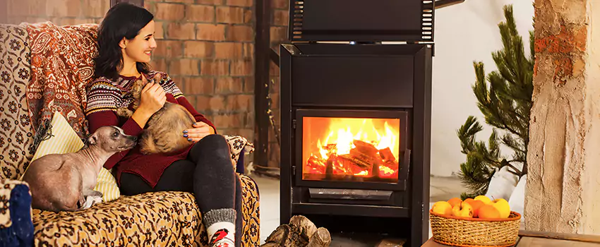 Wood Stove Chimney Cleaning Services in Inver Grove Heights, MN