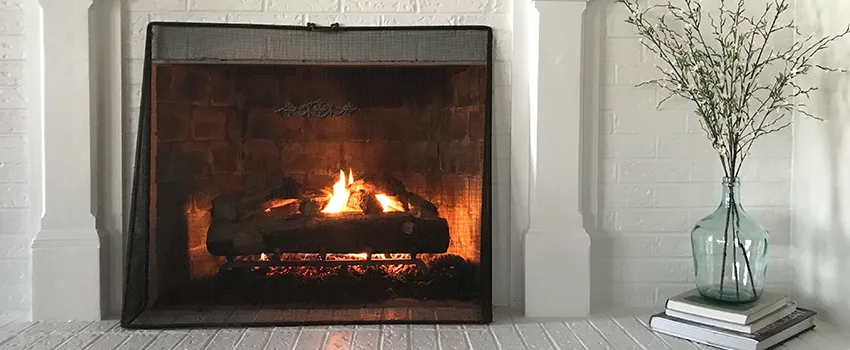 Cost-Effective Fireplace Mantel Inspection And Maintenance in Inver Grove Heights, MN