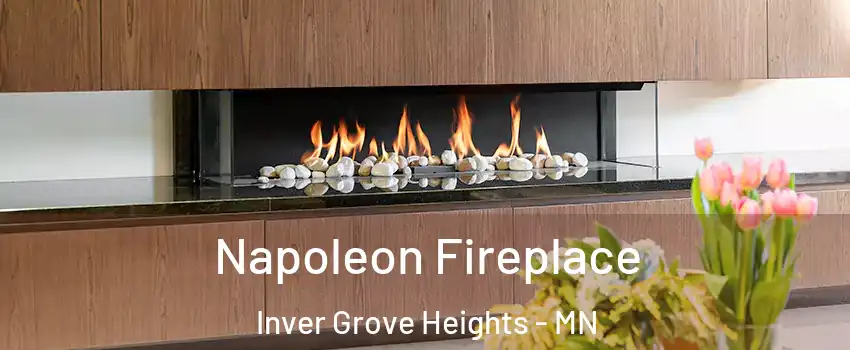  Napoleon Fireplace Inver Grove Heights - MN