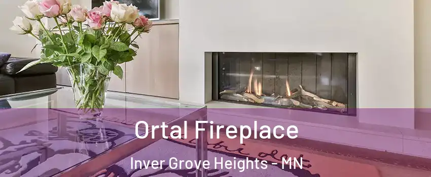  Ortal Fireplace Inver Grove Heights - MN
