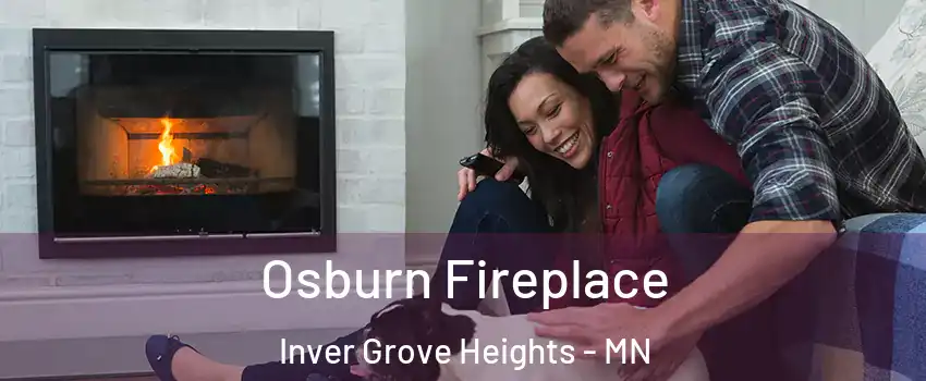  Osburn Fireplace Inver Grove Heights - MN